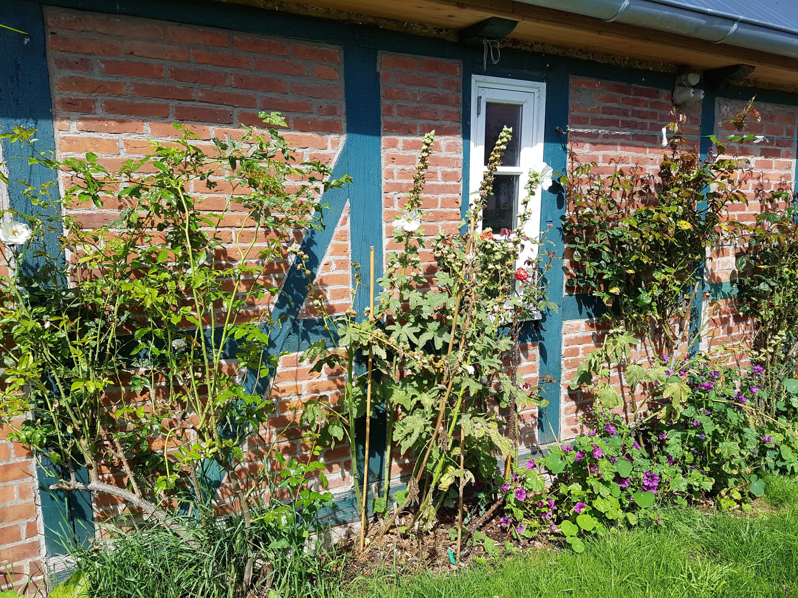 Foto Bauernkate in Barsbek