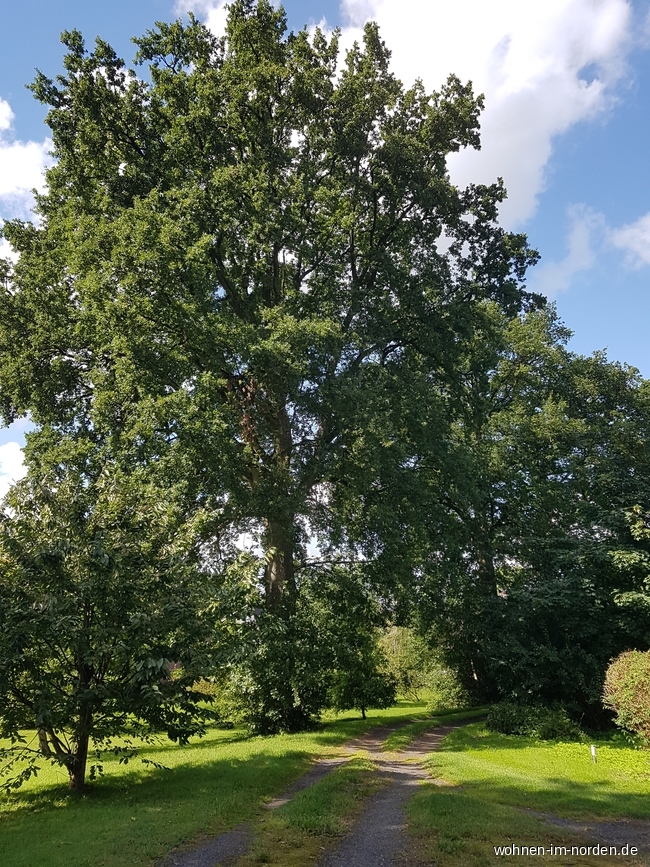Garten Landhaus Weddelbrook