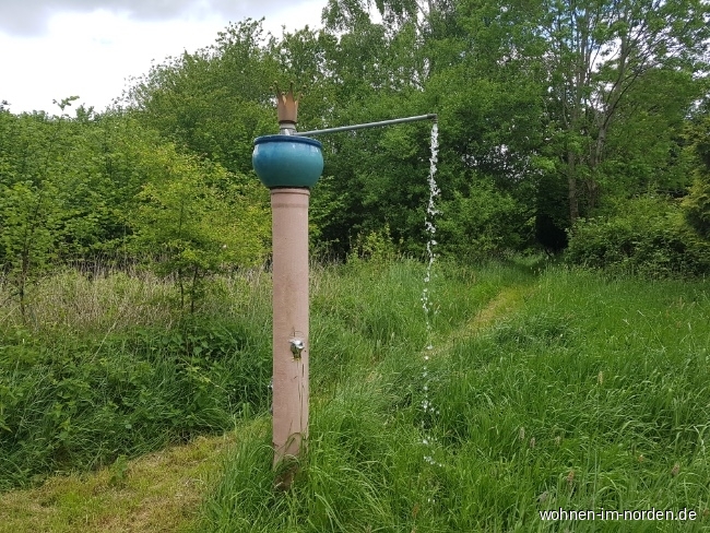 Gartendusche Resthof Honigsee