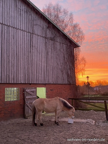 Giebelansicht Stallbereich Resthof Besdorf