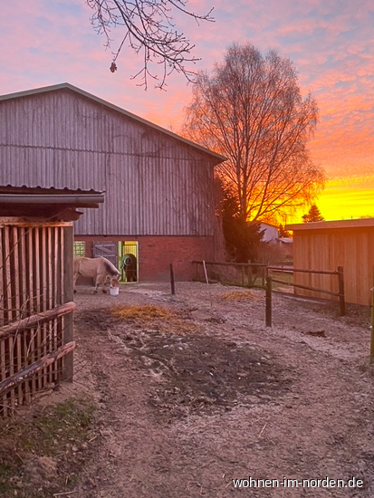 Morgenstimmung Resthof Besdorf