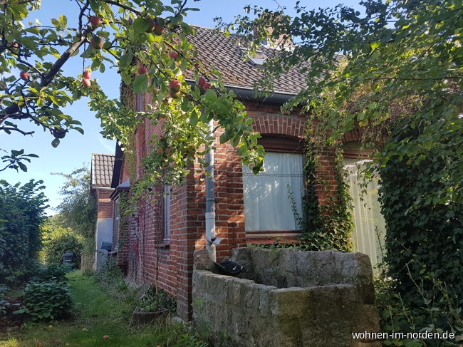  Wisch Einfamilienhaus Wohlfhloase in Wisch- gemtliches Einfamilienhaus zu verkaufen