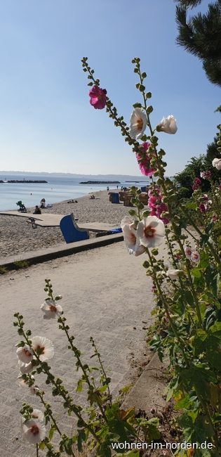 Strand Etagenwohnung Kiel
