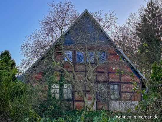 Hausansicht Einfamilienhaus Gro Wittensee