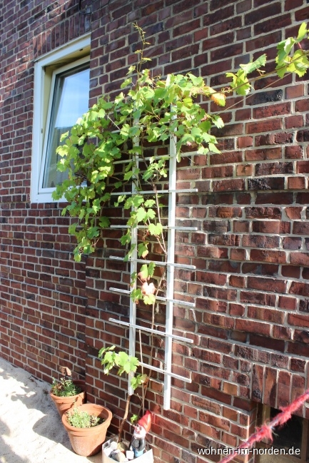Garten Erdgeschosswohnung Hamburg / Rissen