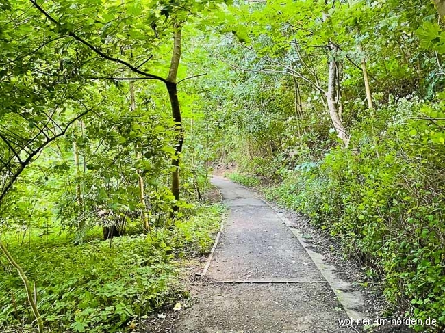 Fuweg zur Kiellinie Etagenwohnung Kiel / Dsternbrook