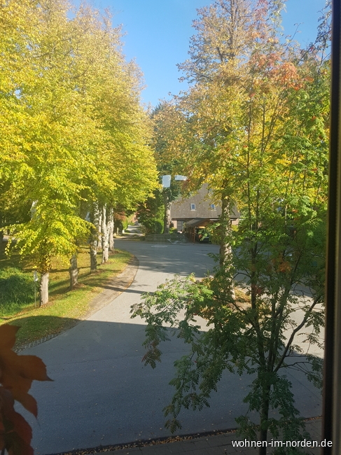 Blick aus dem Wohnzimmer Etagenwohnung Barsbek