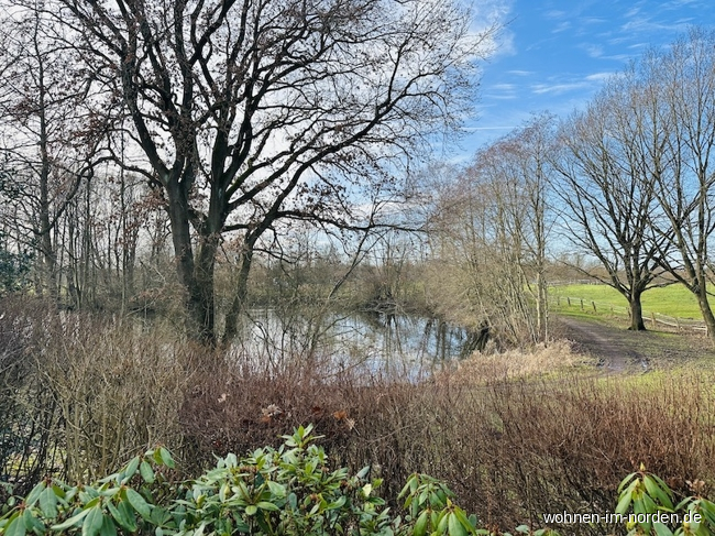 Blick vom Grundstck ins Grne Einfamilienhaus Molfsee / Rammsee