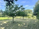 Immobilienbewertung Norderstedt
